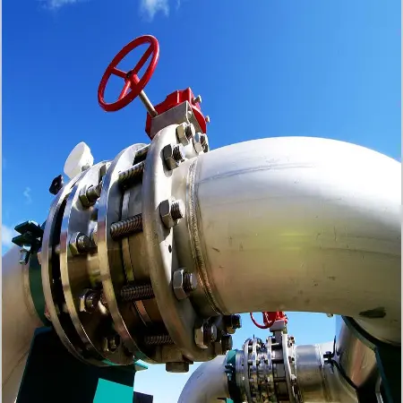 Why Choose a Quality-Controlled BX169 RTJ Ring Gasket? Why Choose a Quality-Controlled BX169 RTJ Ring Gasket?