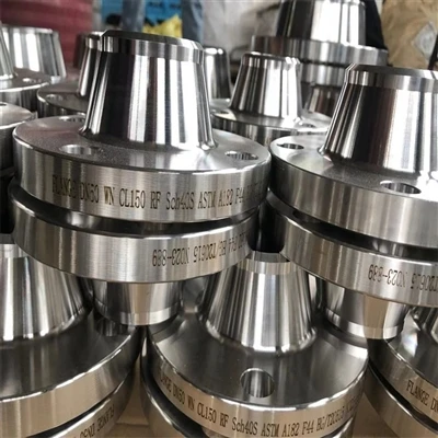 Stainless Steel A182 316L 1.4404 S31603 Welding Neck Flange in the marine ind...